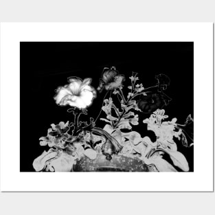 Black and white beautiful flower. Posters and Art